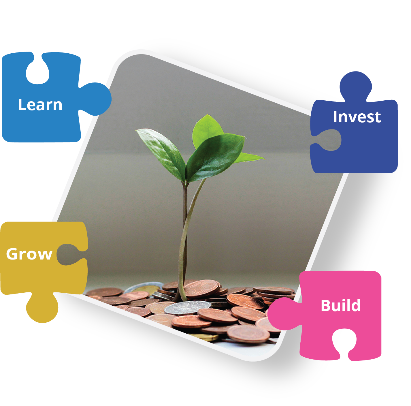 A plant growing from coins surrounded by puzzle pieces labeled Learn, Invest, Grow and Build