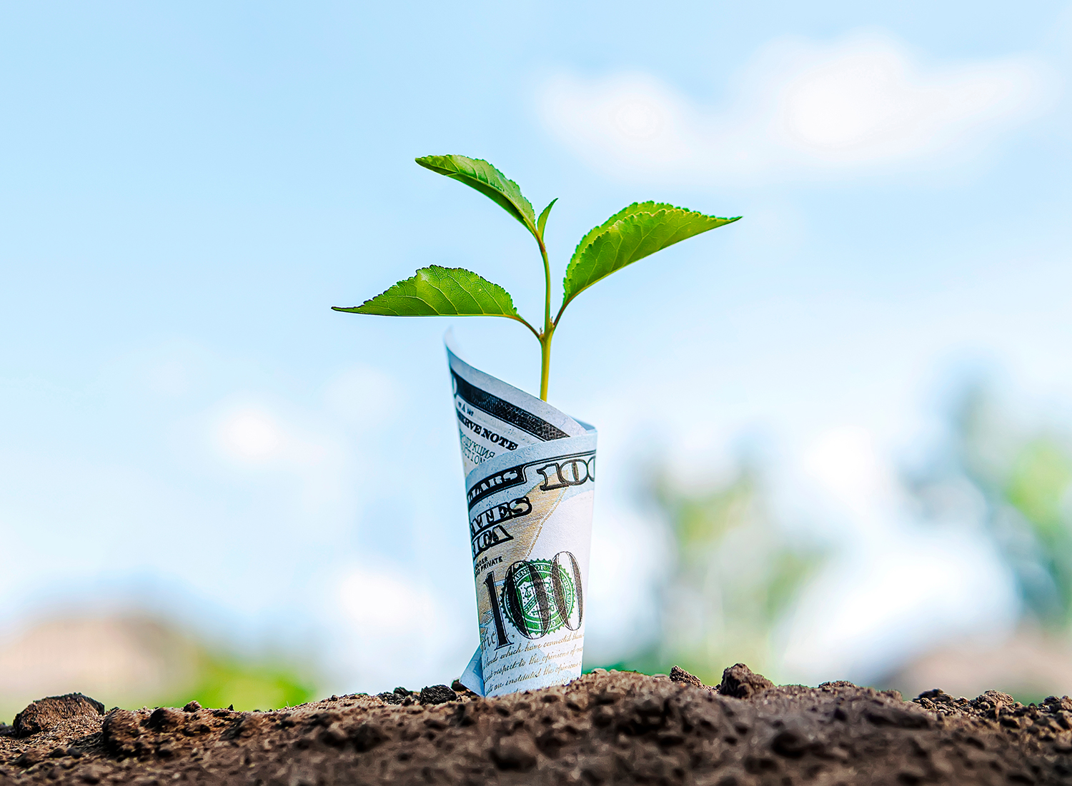Savings Accounts